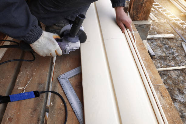 Best Aluminum Siding Installation  in Mexico Beach, FL